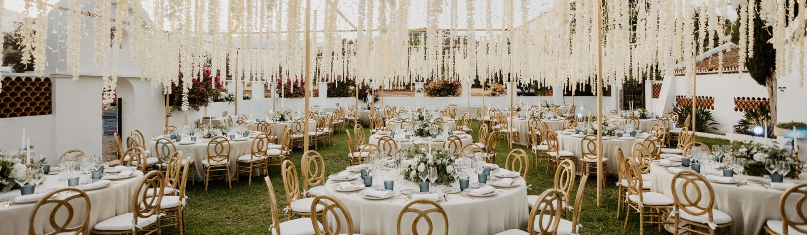 Bodas